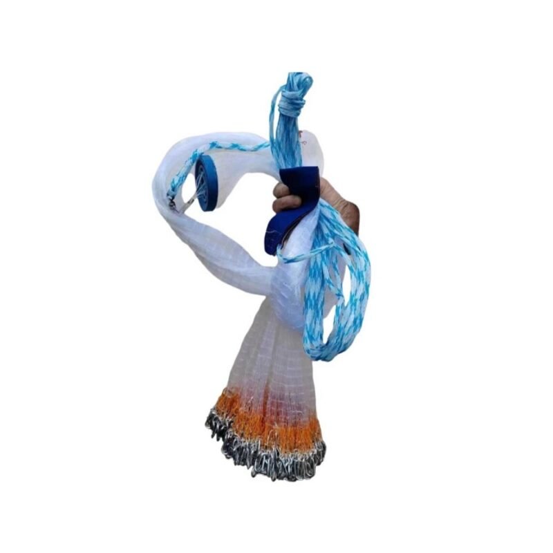 realeshop-Pezobolo-Diafanes-Dixty-1