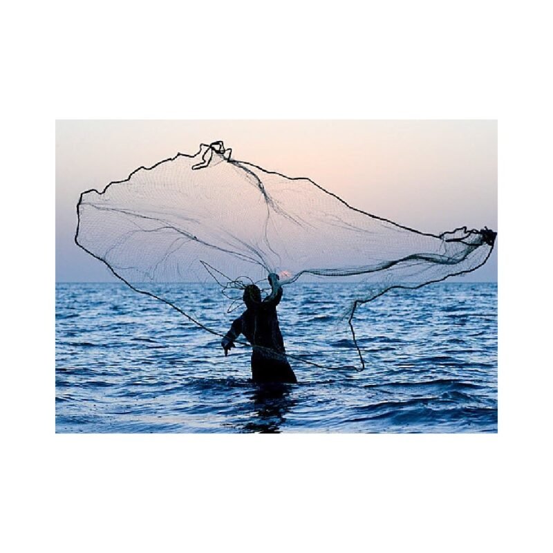 realeshop-Pezobolo-Diafanes-Dixty1