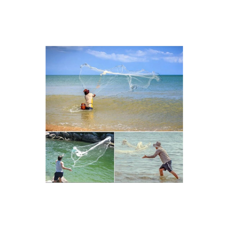 realeshop-Pezobolo-Diafanes-Dixty2