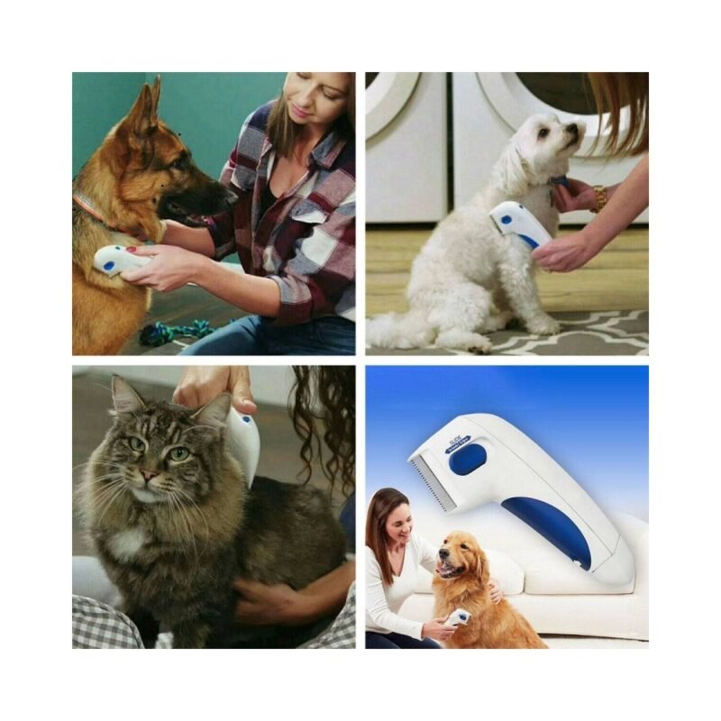 realeshop-eksolotrefsi-psilon-2 Εξολοθρευτής ψύλλων