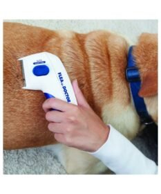 Εξολοθρευτής ψύλλων