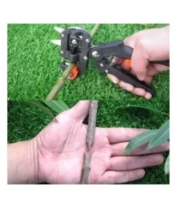 Ψαλίδι Μπολιάσματος