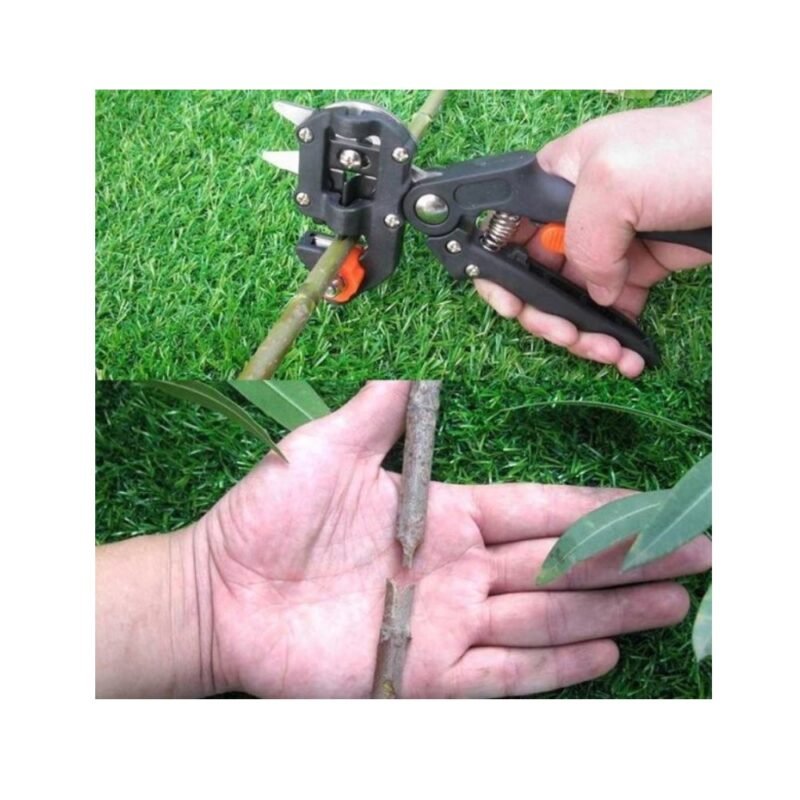 realeshop-psalidi-mpoliasm-doro4