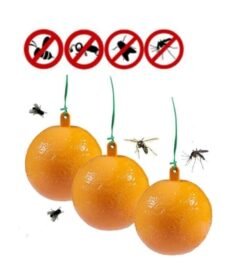 Εντομοπαγυδες Πλενομενες