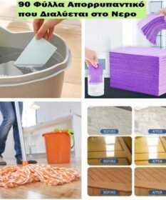 Φυλλα Απορρυπαντικο